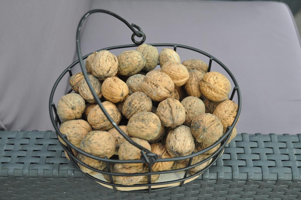 Corbeille en métal, Maison & Meubles, Comme neuf, Enlèvement, Panier, Autres matériaux
