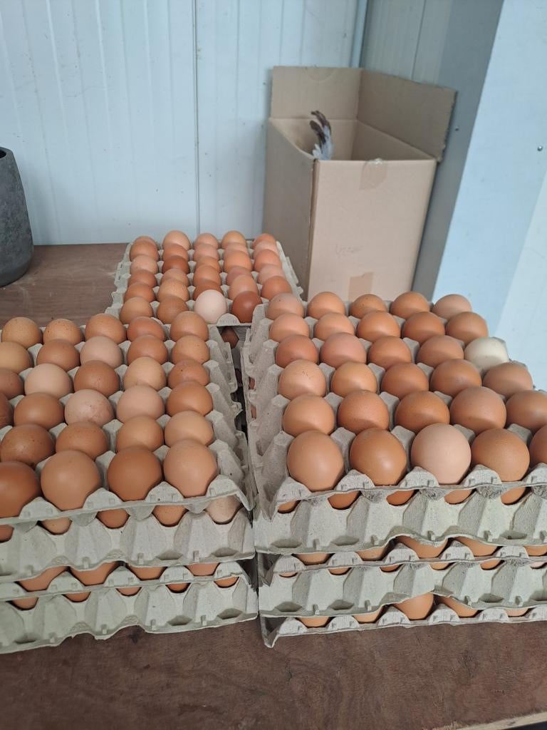 Verse vrije uitloop eieren, Enlèvement