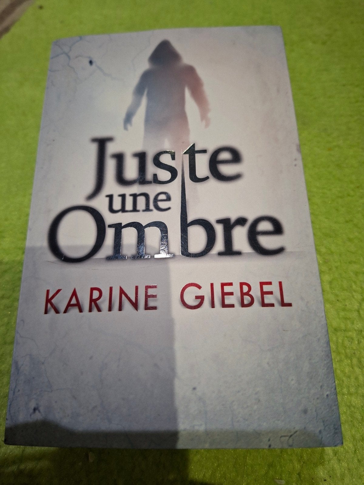 juste une ombre., Livres, Enlèvement