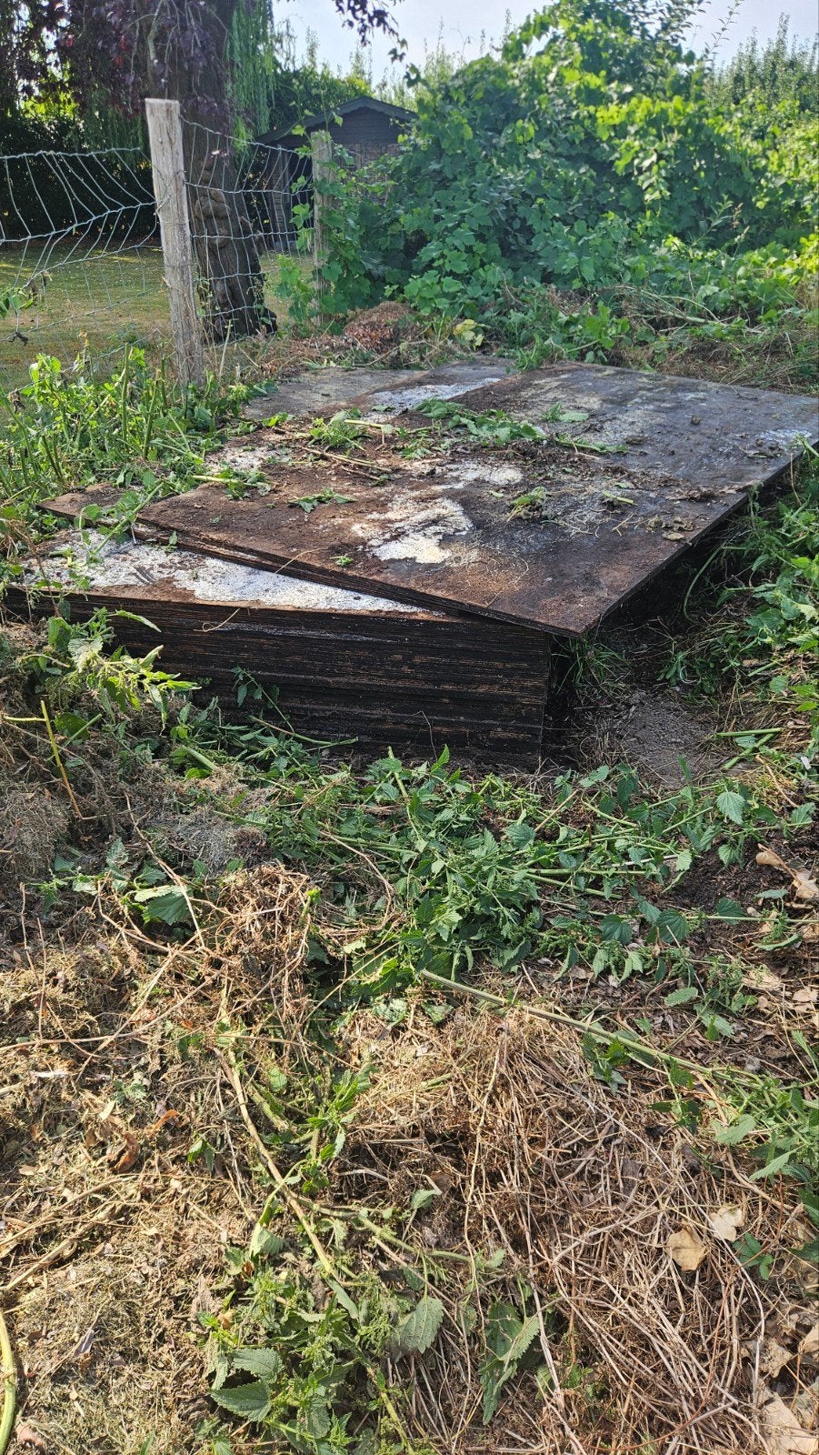 20 anciennes plaques de sous-couche, Enlèvement