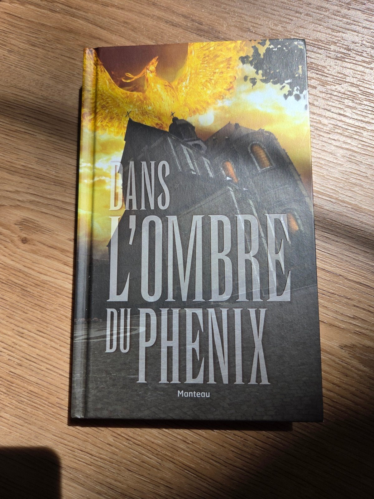 De schaduw van de feniks NL-FR, Boeken, Ophalen of Verzenden