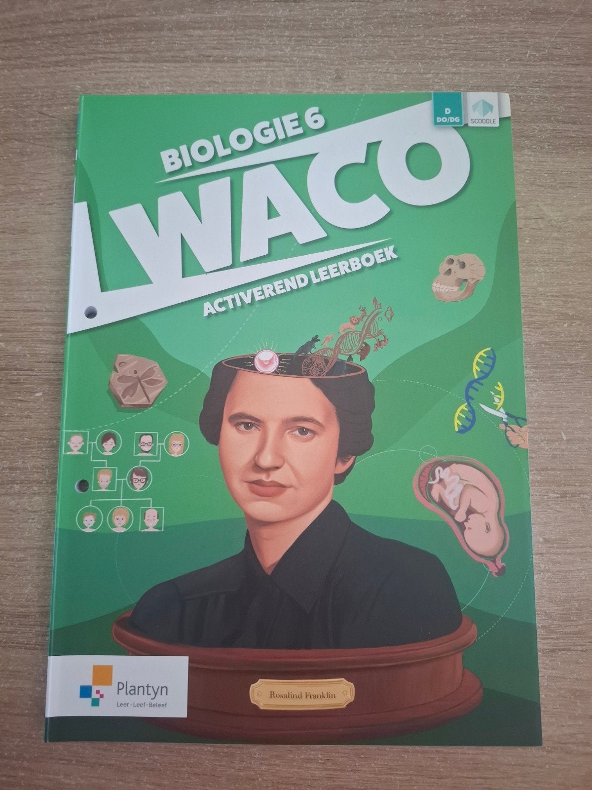 Maarten Sanne - Leerboek, Boeken, Ophalen, Nederlands, Maarten Sanne; Ann Heyvaert; Frankie Goovaerts; Caroline Hammels