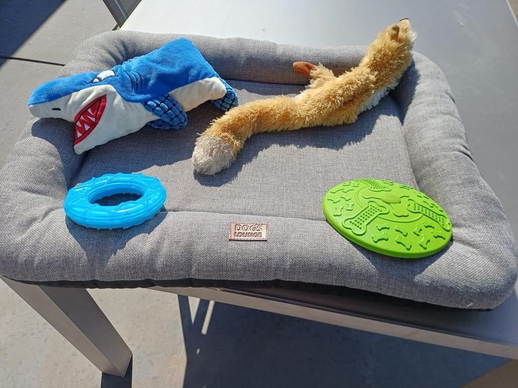 Setje voor hond., Dieren en Toebehoren, Ophalen