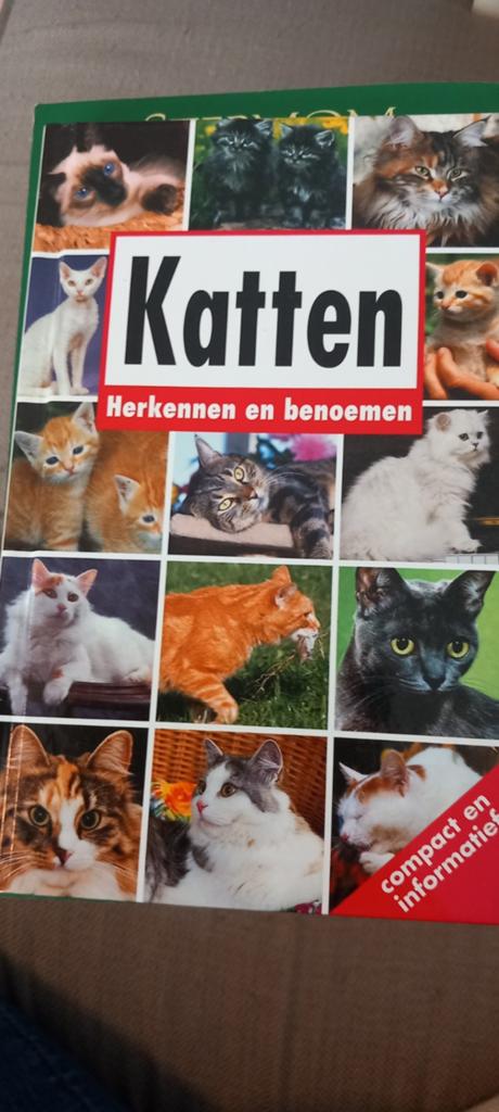 Reconnaître et nommer les chats, Enlèvement ou Envoi, Chats