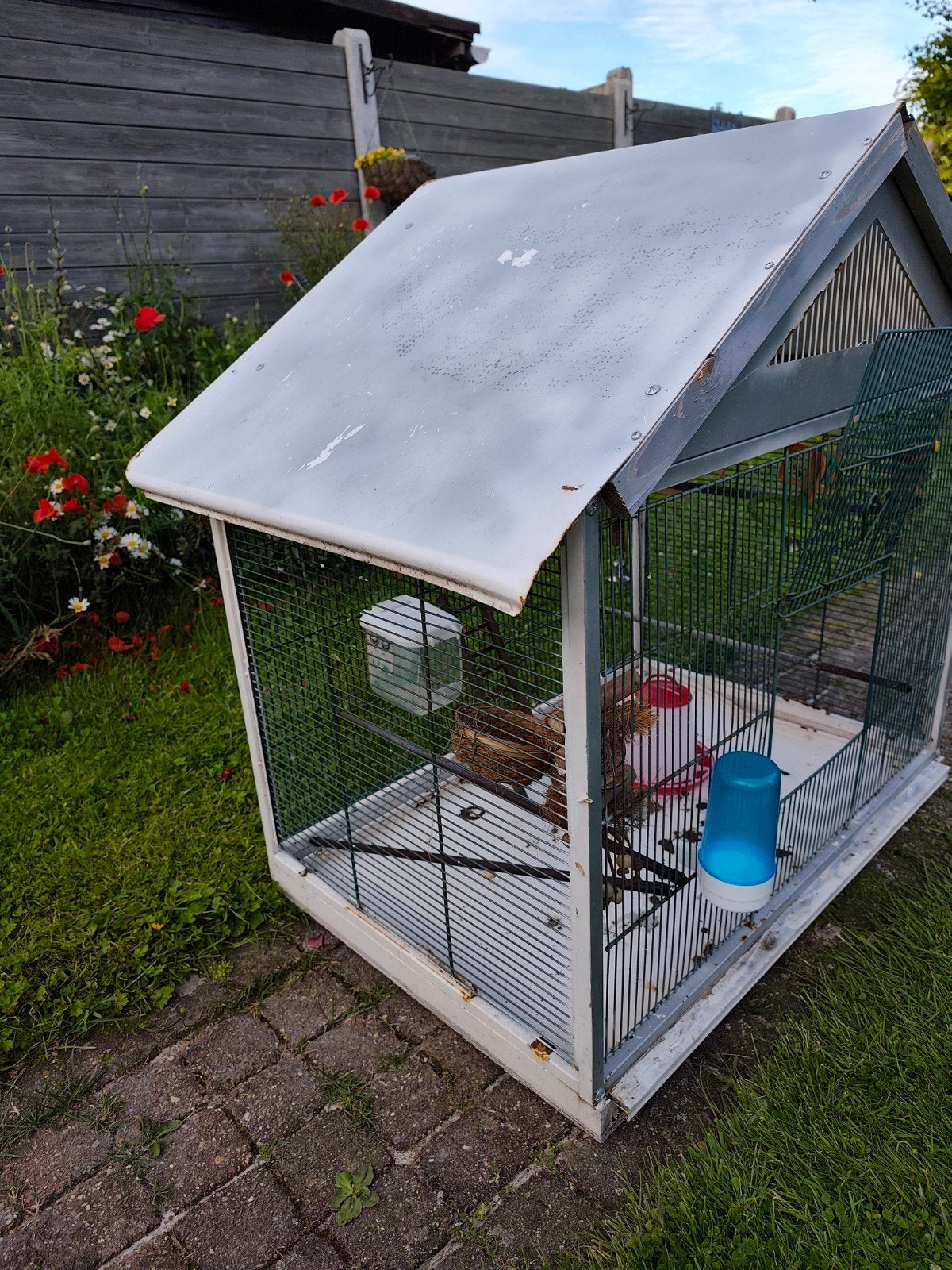 Vogelkooi met accessoires, Tuin en Terras, Ophalen