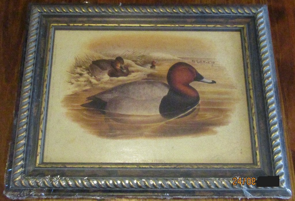 Rustiek gekaderde print van duikeenden nog in folie, Overige ondergronden, Dieren, Ophalen of Verzenden, Print