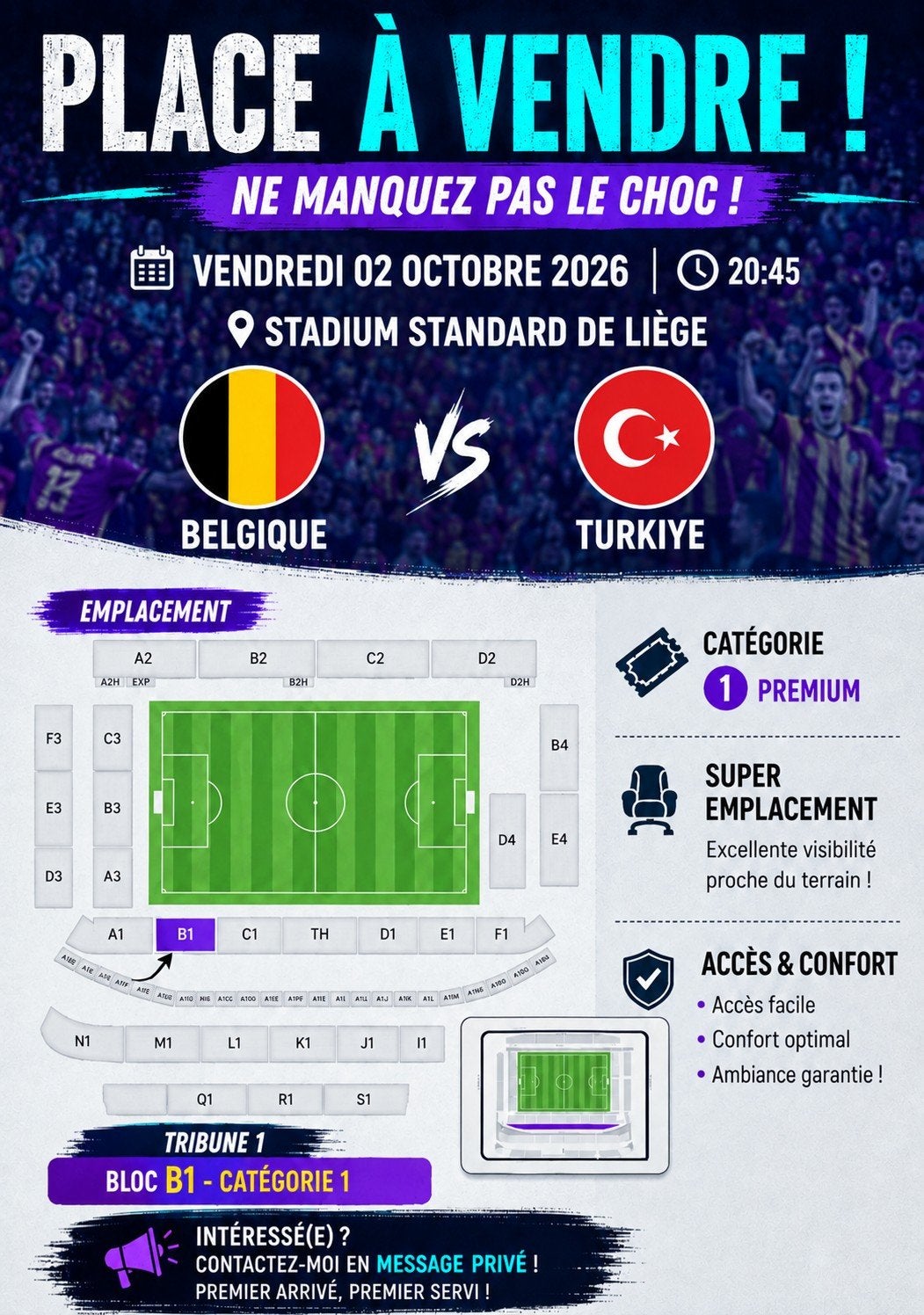 belgique vs turquie 02/10/26, Tickets & Billets, Une personne