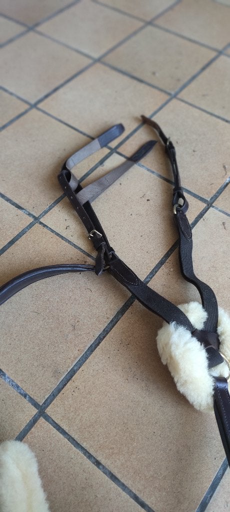 Martingaal, Dieren en Toebehoren, Bruin, Verstelbaar, Nieuw, Ophalen of Verzenden