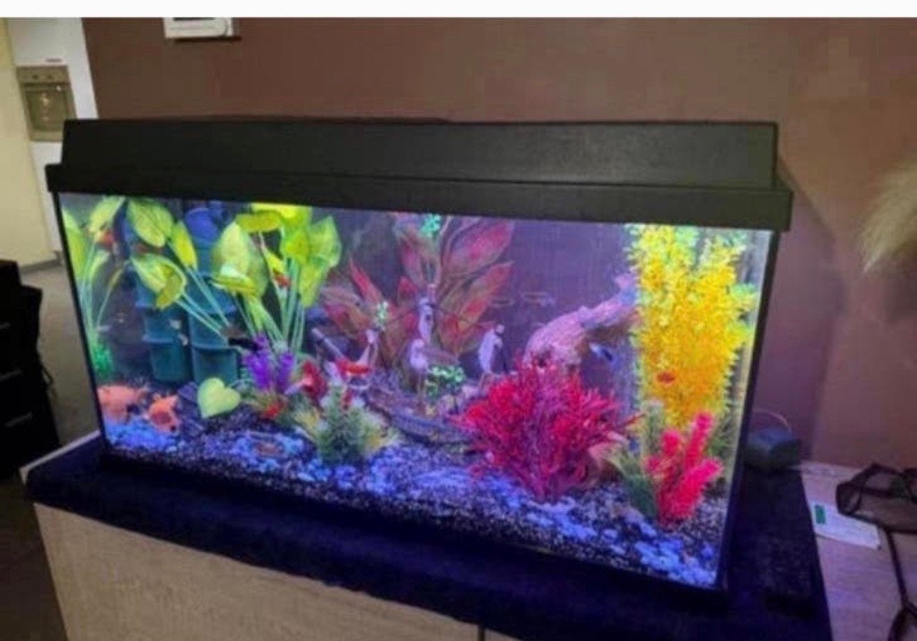lege aquarium, Ophalen, Zo goed als nieuw