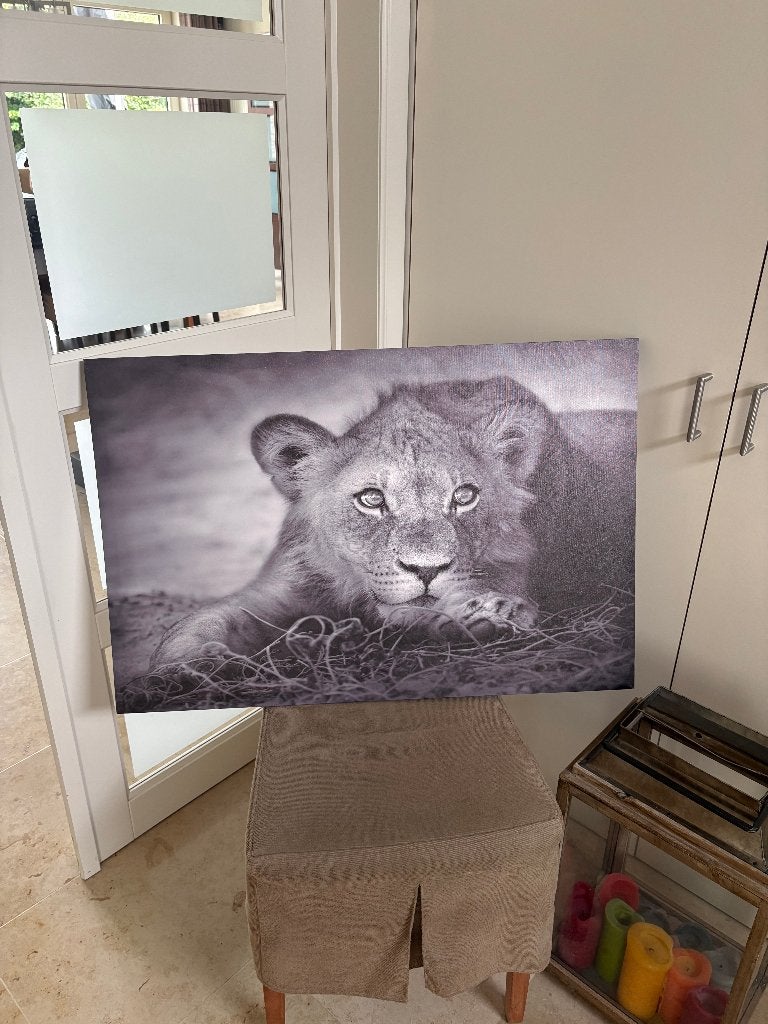 Mooi schilderij Leeuw met houten kader, Ophalen, Overige stijlen, Doek, Overige technieken