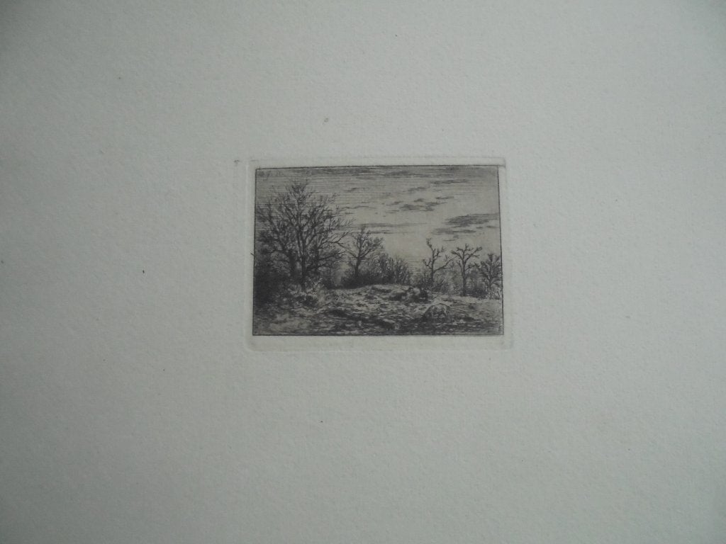 Charles Emile Jacque  Ets  Landschap 2, Antiek en Kunst, Verzenden, Landschap, Ets