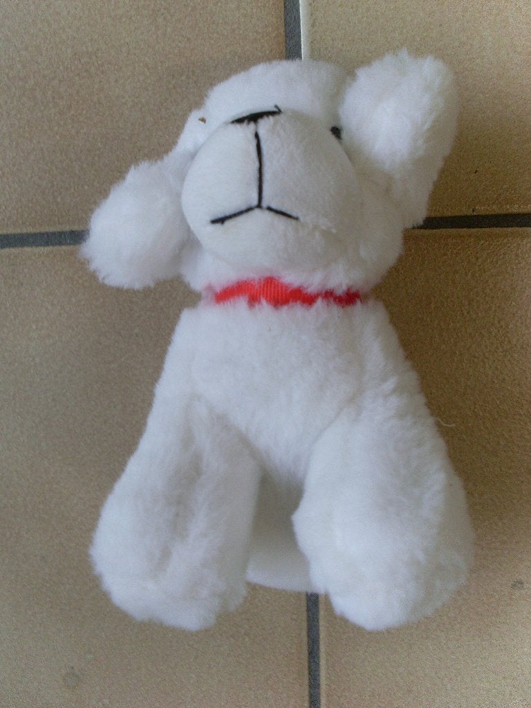 Knuffel hond, Overige karakters, Zo goed als nieuw, Klein (minder dan 20 cm), Wit