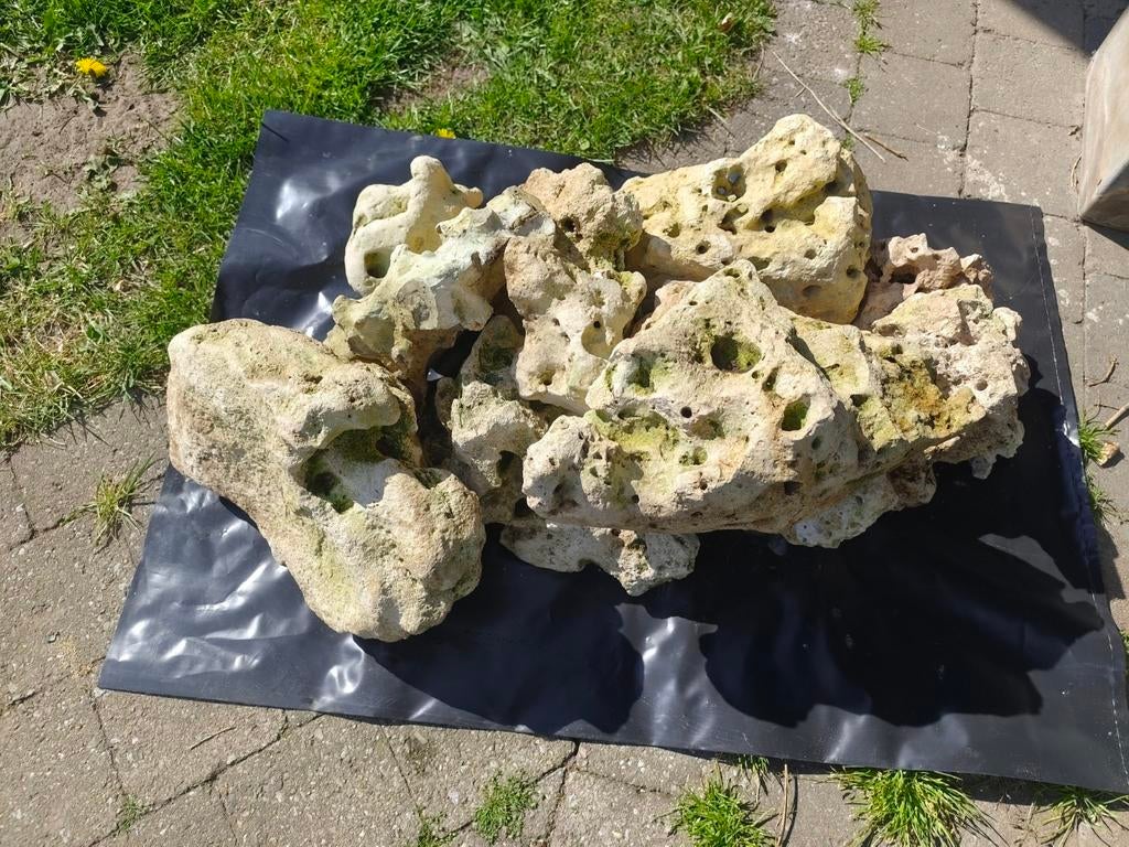 Hol maansteen voor aquarium, Ophalen