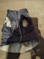 hondenjasje, Dieren en Toebehoren, Hondenkleding, Ophalen