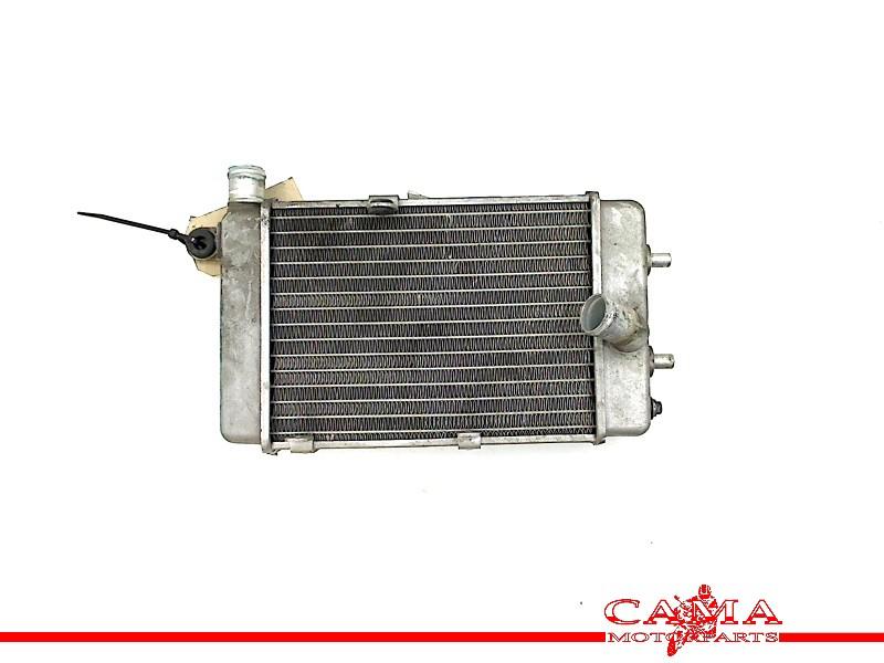 RADIATEUR Aprilia RSV 1000 (R) Mille 1998-2003 (RSV1000), Motoren, Dhr. S. di Majo, Gebruikt, Info@cama-motorparts.nl, P.J. Troelstraweg 8 8
3144 CX  MAASSLUIS, NL