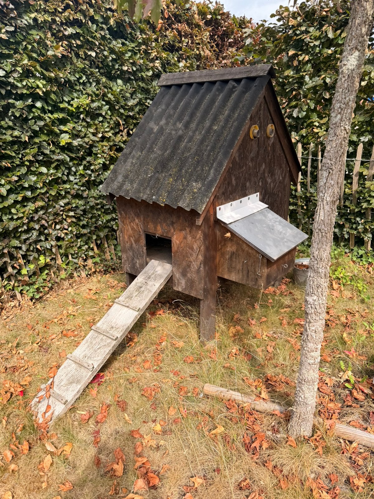 Ruim kippenhok met wat benodigdheden., Dieren en Toebehoren, Pluimvee | Toebehoren, Ophalen, Gebruikt, Kippenhok of Kippenren