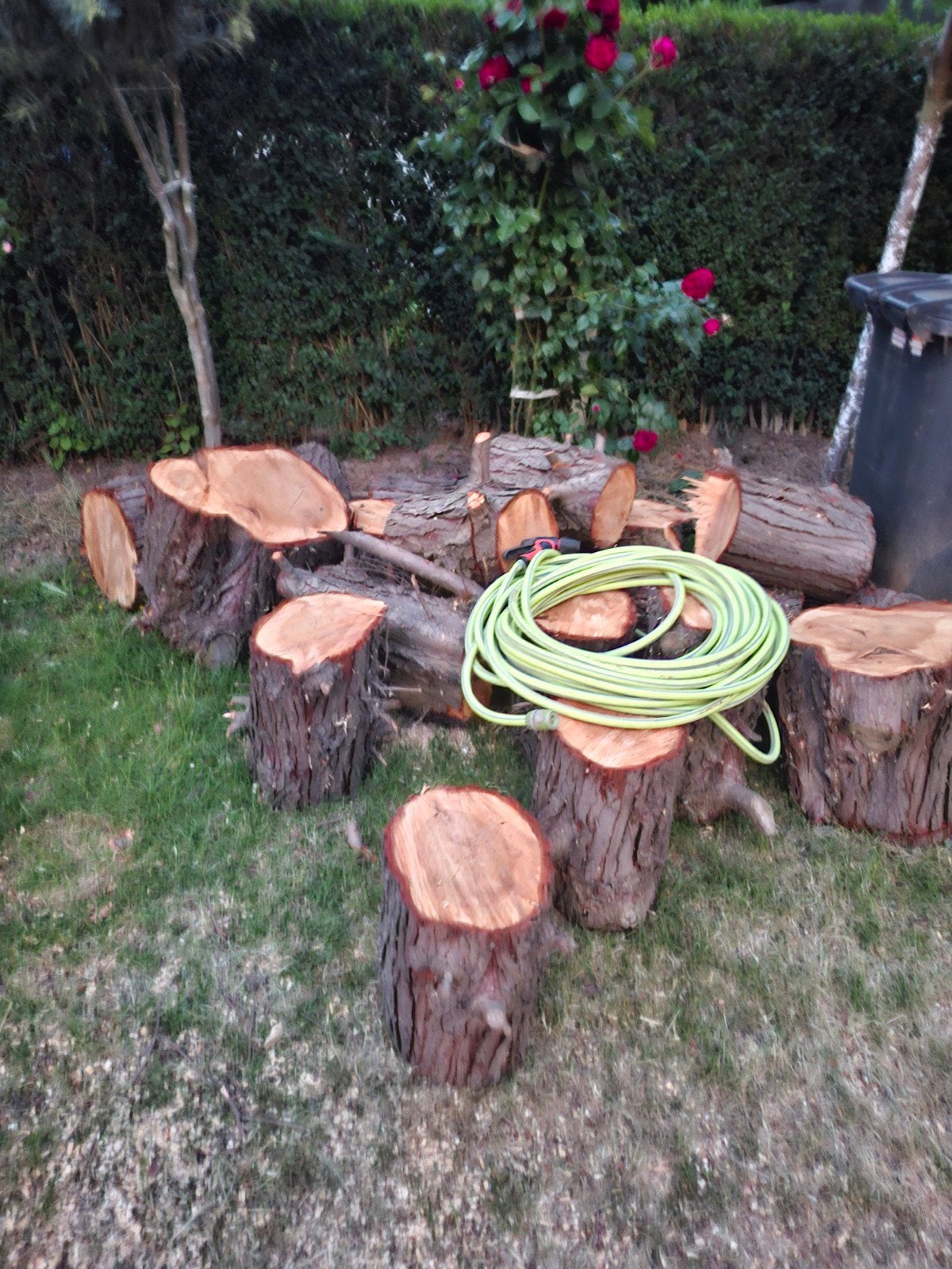 Bois à donner  + copeaux, Jardin & Terrasse, Enlèvement