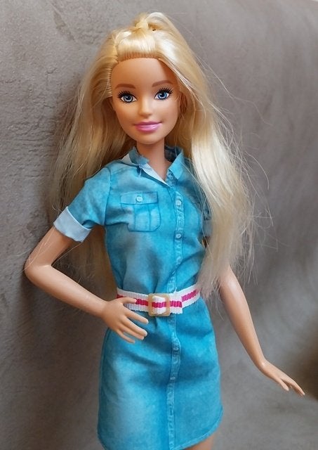 Poupée Barbie Dreamhouse Adventure, Enlèvement ou Envoi, Utilisé, Barbie
