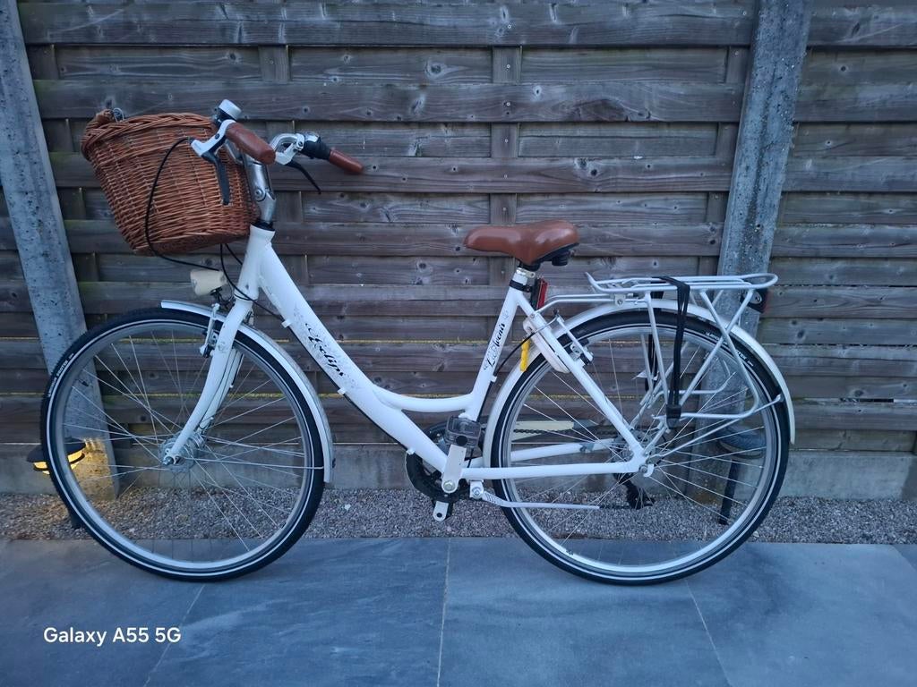 L'avenir damesfiets, Fietsen en Brommers, Fietsen | Dames | Damesfietsen, Versnellingen, Ophalen