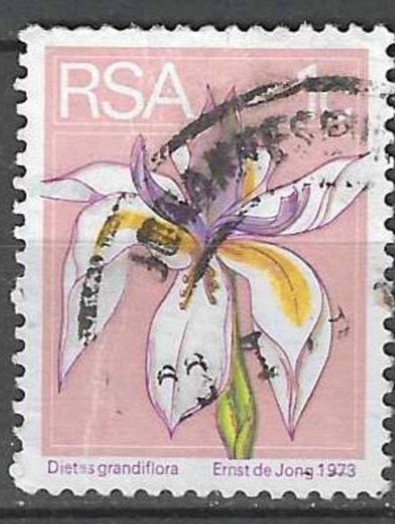 Zuid-Afrika 1974 - Yvert 359 - De grote wilde iris (ST), Postzegels en Munten, Verzenden, Zuid-Afrika, Gestempeld