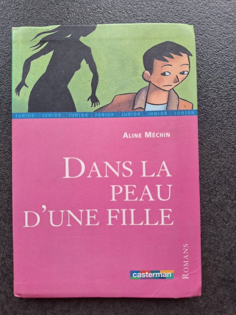 Dans la peau d'une fille - Aline Méchin, Fiction, Aline Méchin, Enlèvement, Utilisé