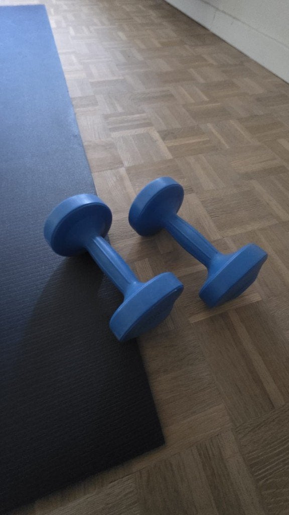 Blauwe dumbbells 2 x 2 kg – paar fitnesshalters, Sports & Fitness, Enlèvement, Utilisé, Haltère