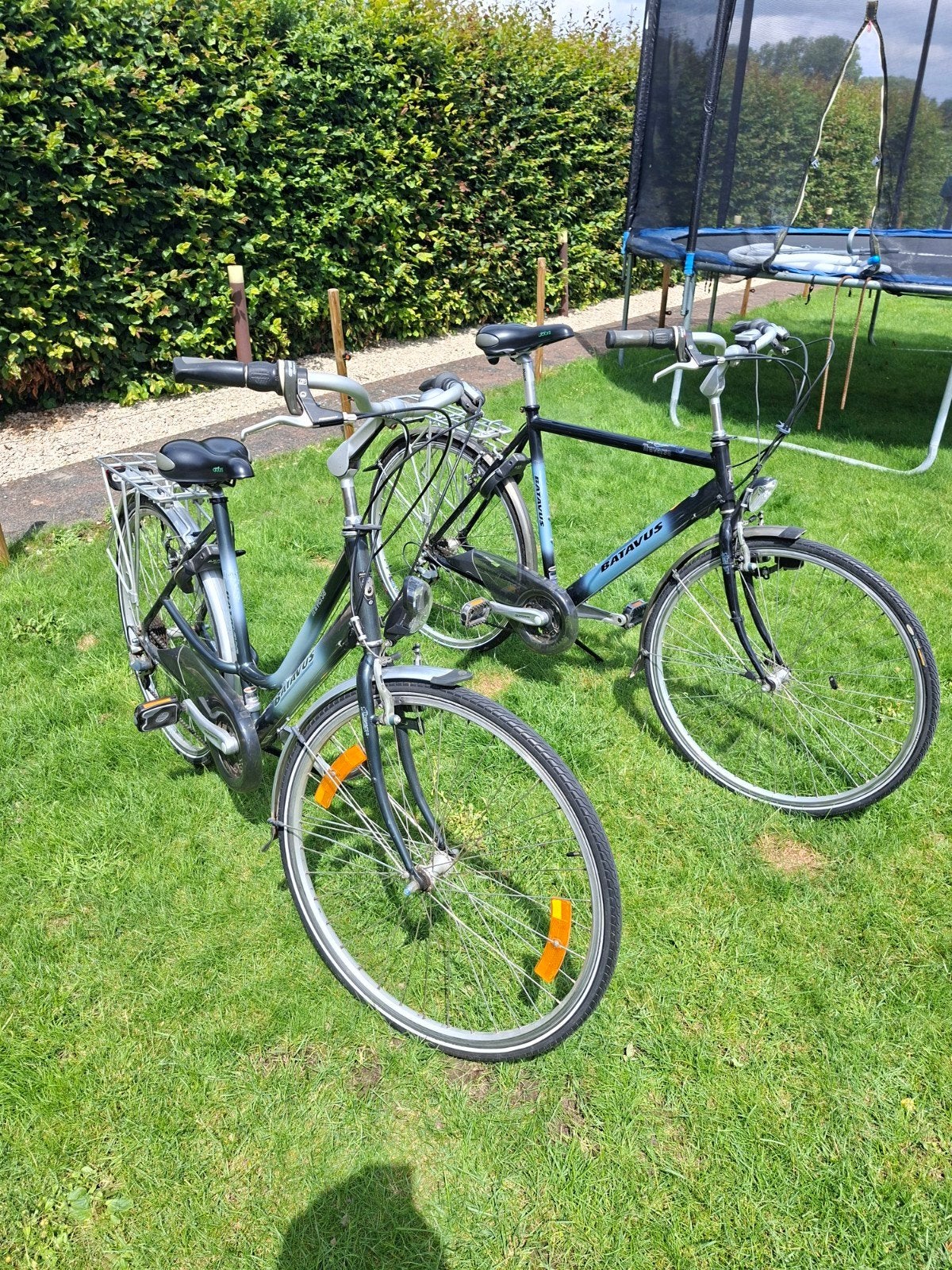 Dames- en herenfiets  batavus, Ophalen