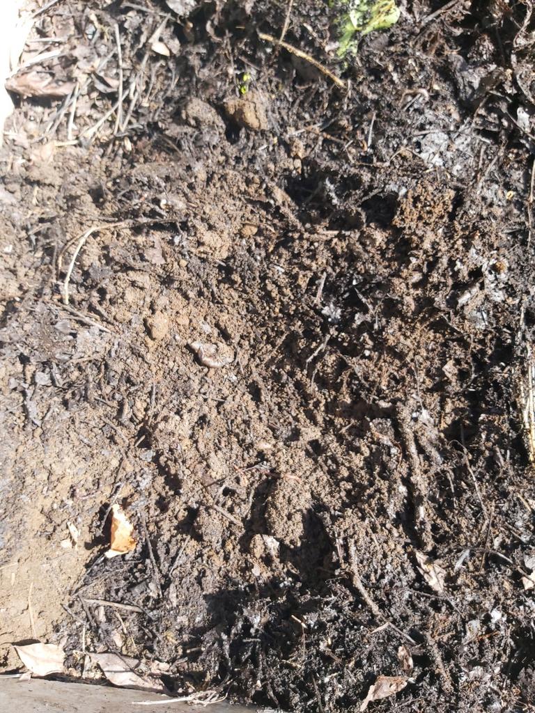 Compost, Enlèvement