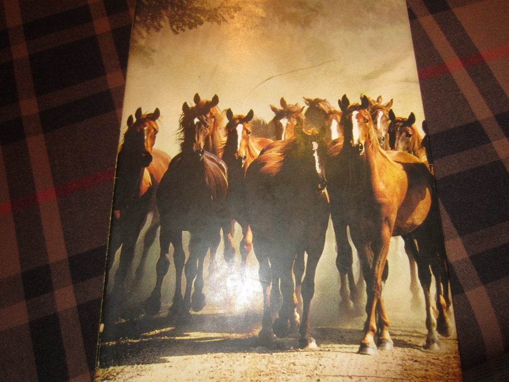 paarden : 3 boeken, Ophalen of Verzenden