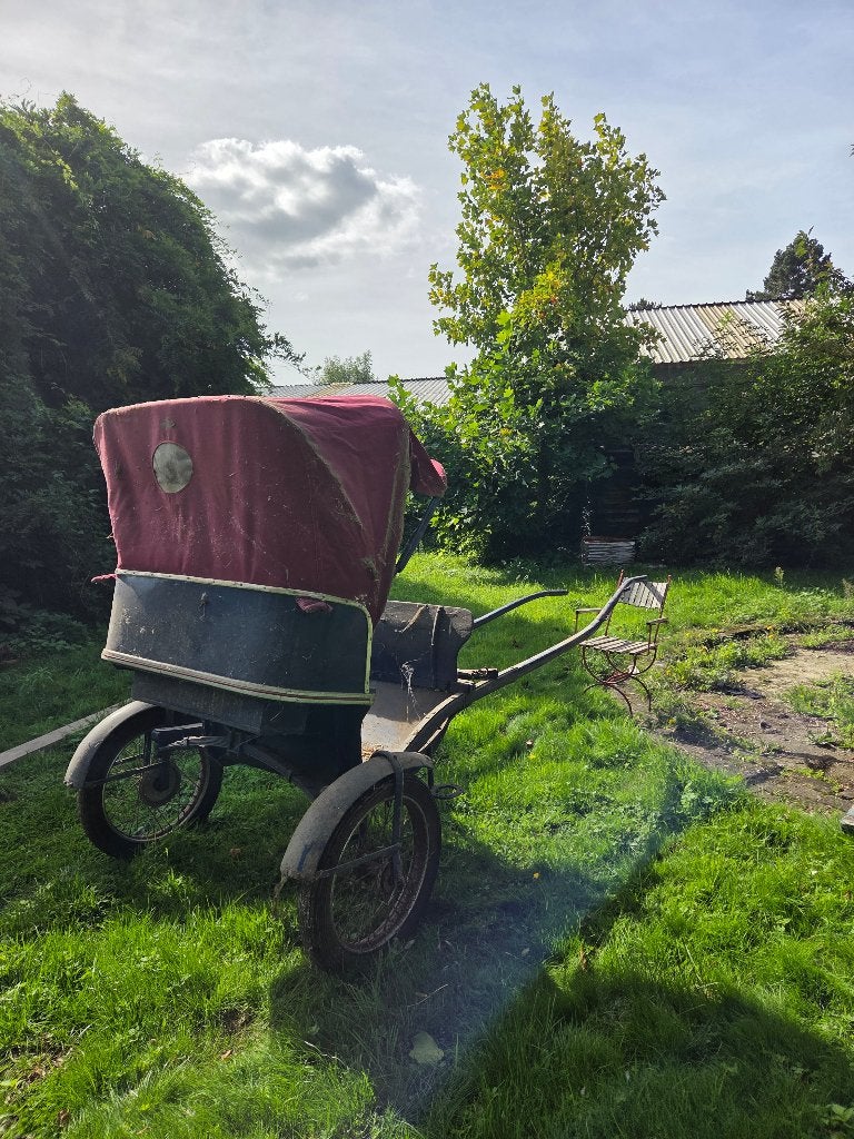 Koets voor een paard, Dieren en Toebehoren, Gebruikt, Wagonette, Paard of Pony