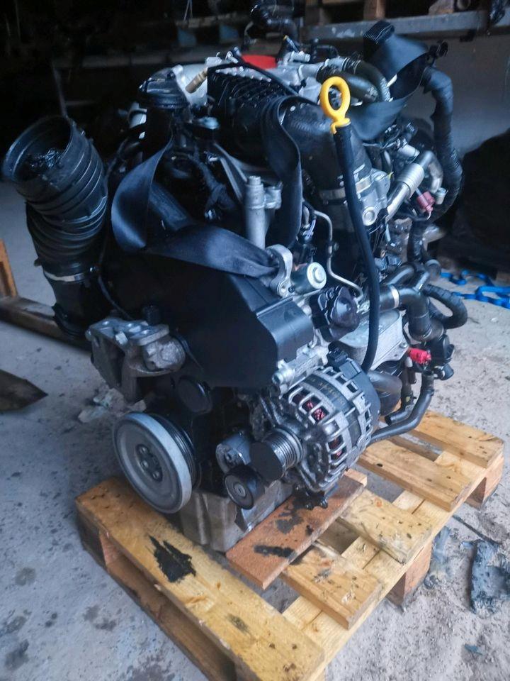 Moteur DMZB Complet VW GRAND CALIFORNIA MULTIVAN CALIFORNIA, Verzenden, Gebruikt, Overige automerken