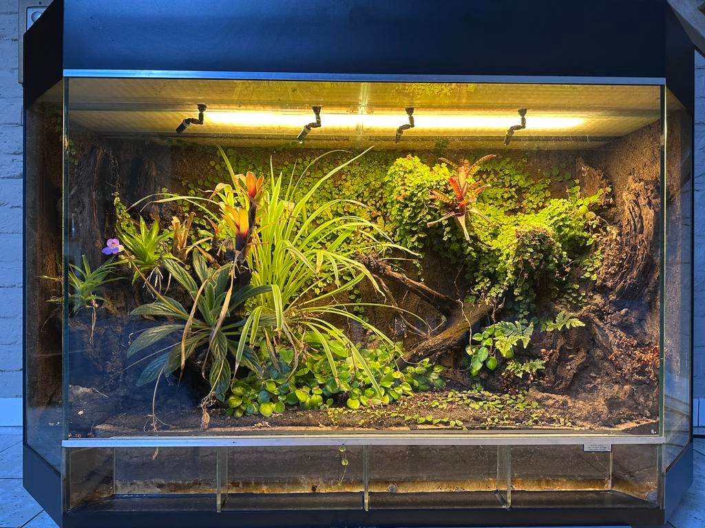TERRARIUM sur mesure (120x50x80cm), Animaux & Accessoires, Enlèvement, Utilisé, Éclairage