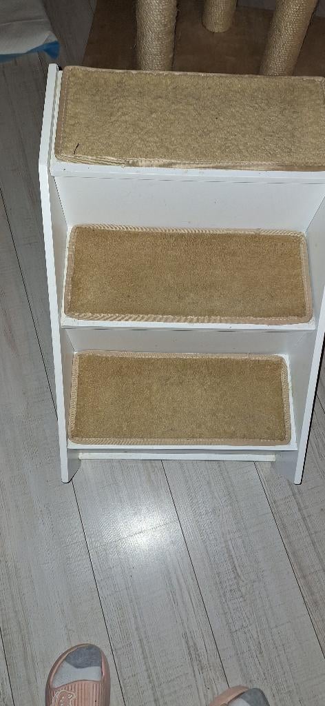 Escalier trap pour animaux chat chien kat hond dieren, Enlèvement, Utilisé