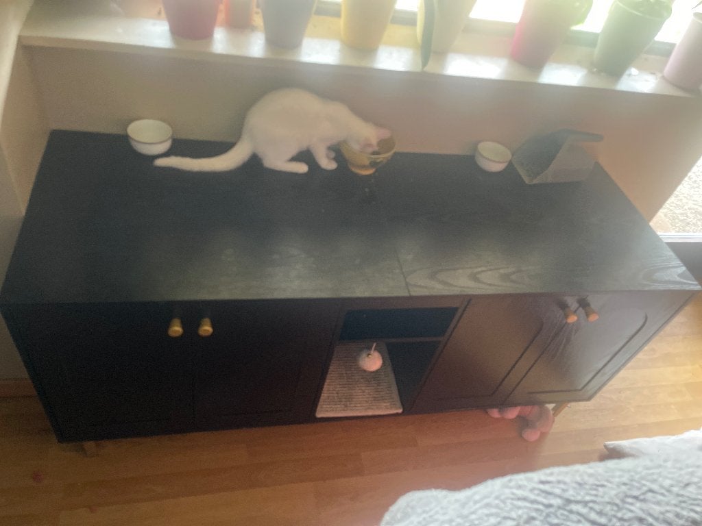 Meuble à litière pour chat, Animaux & Accessoires, Enlèvement, Comme neuf, Fermé