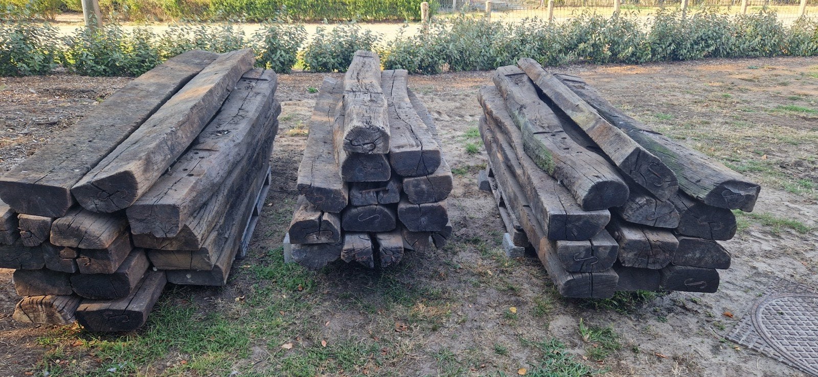 Treinbilzen 260cm, Ophalen