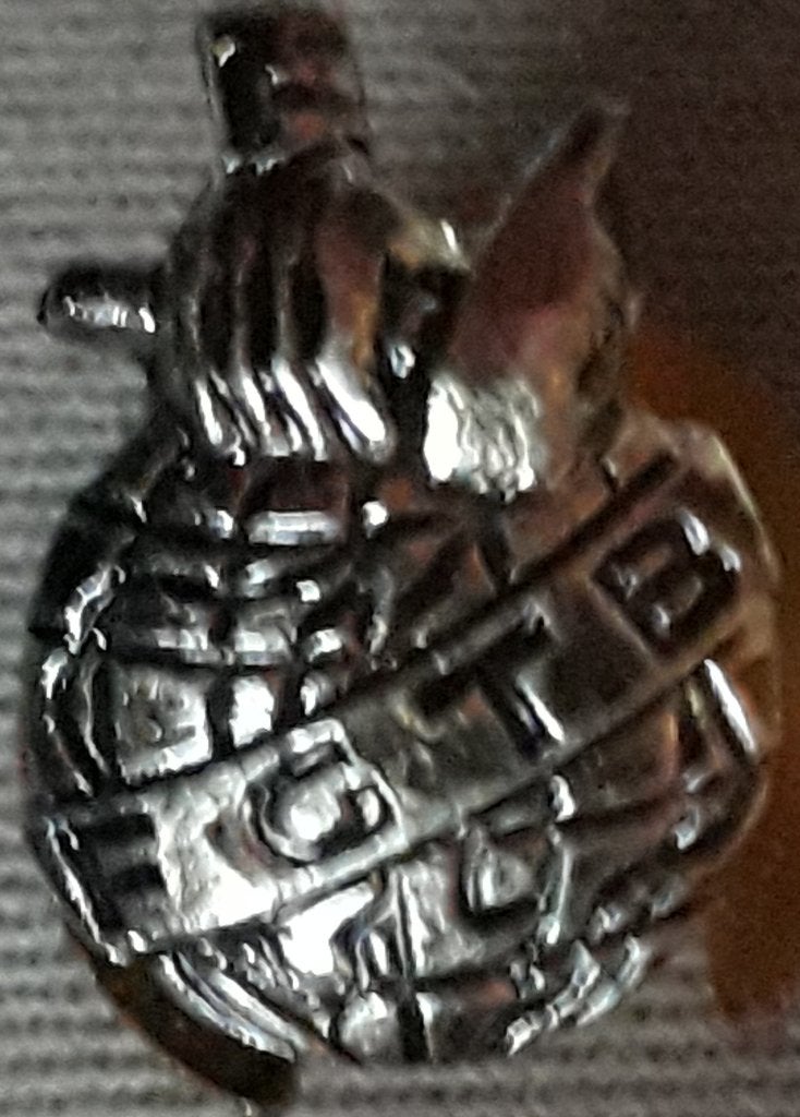 F.G.T.B-knoopmedaille 1950-70, Verzamelen, Ophalen of Verzenden, Zo goed als nieuw, Button