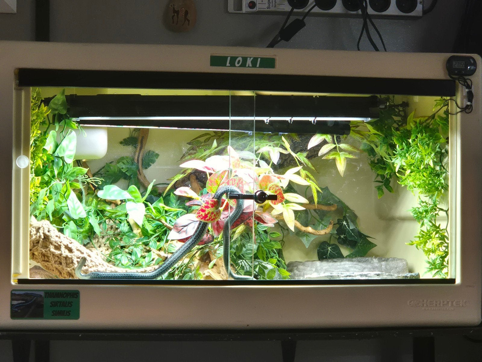 HERPTEK terrarium 90x60x50, Dieren en Toebehoren, Ophalen, Zo goed als nieuw, Terrarium of Paludarium