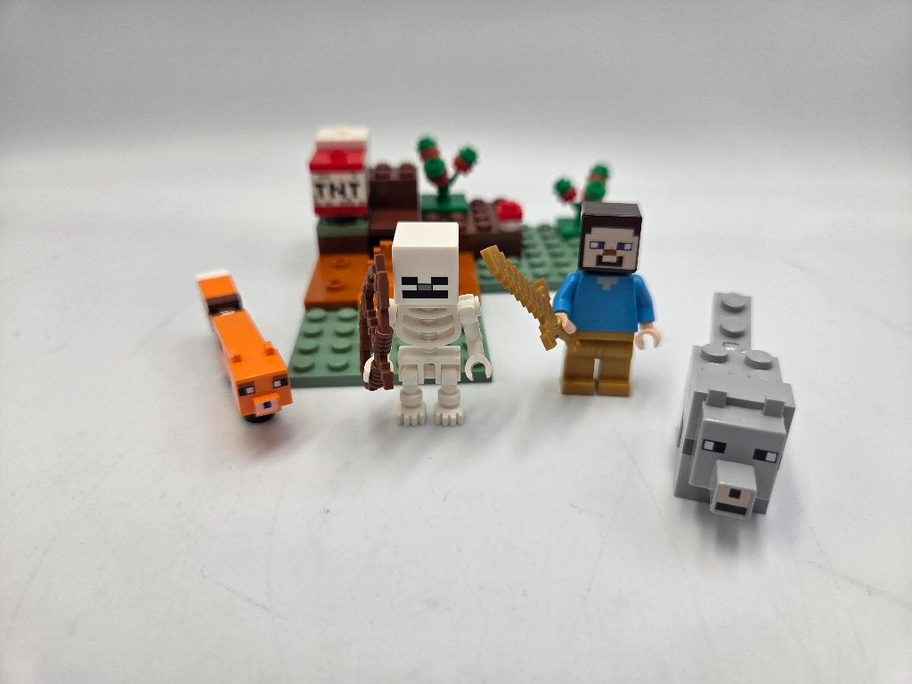 Lego Minecraft 21177 The Creeper Ambush, Kinderen en Baby's, Speelgoed | Duplo en Lego, Zo goed als nieuw, Lego, Complete set