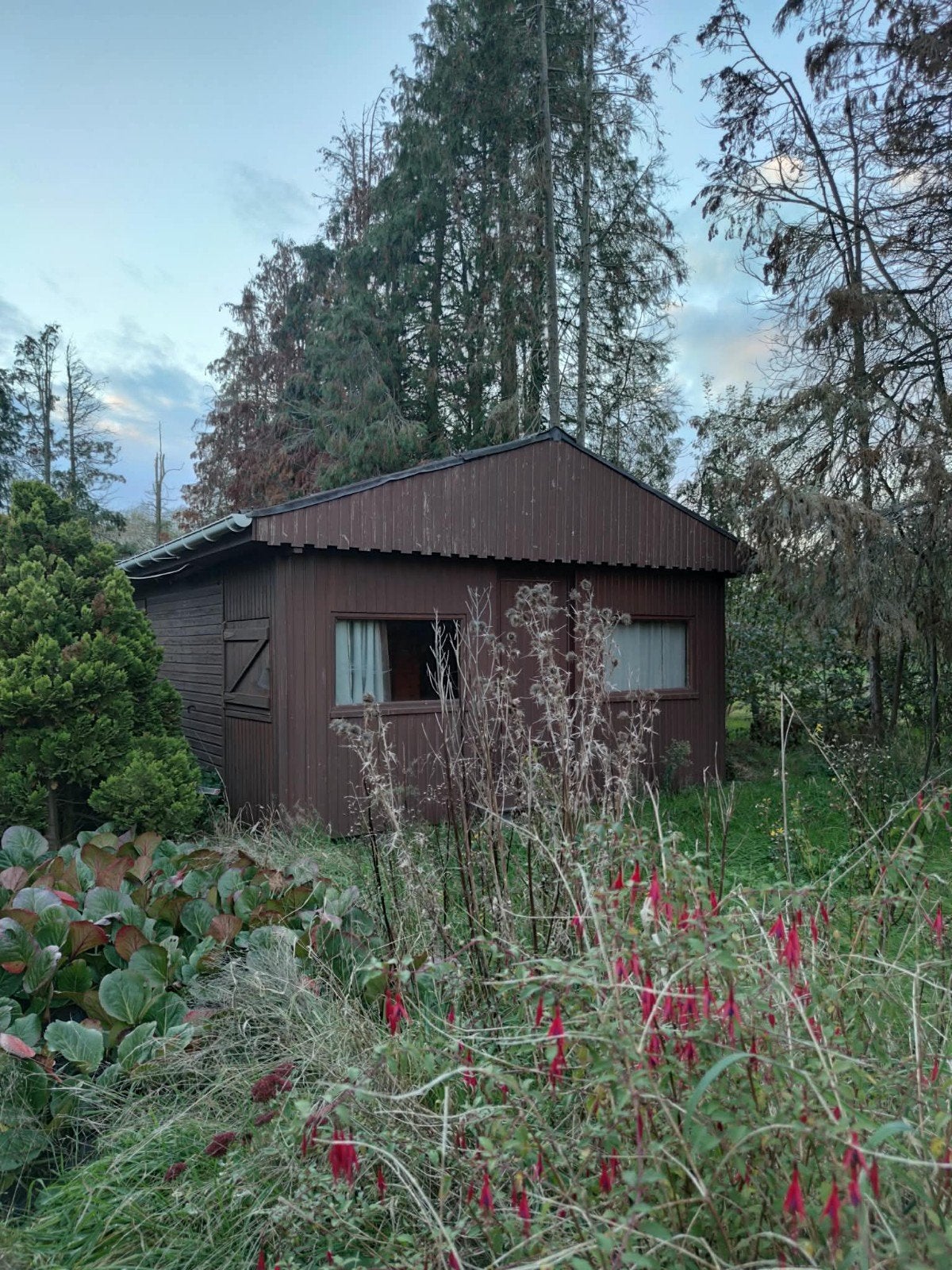 Gratis tuinhuis, Jardin & Terrasse, Enlèvement, Utilisé, Bois, Abri de jardin