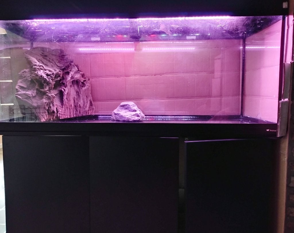 Aquarium met kast en lichtkap, Animaux & Accessoires, Aquarium vide, Chauffage, Enlèvement, Utilisé