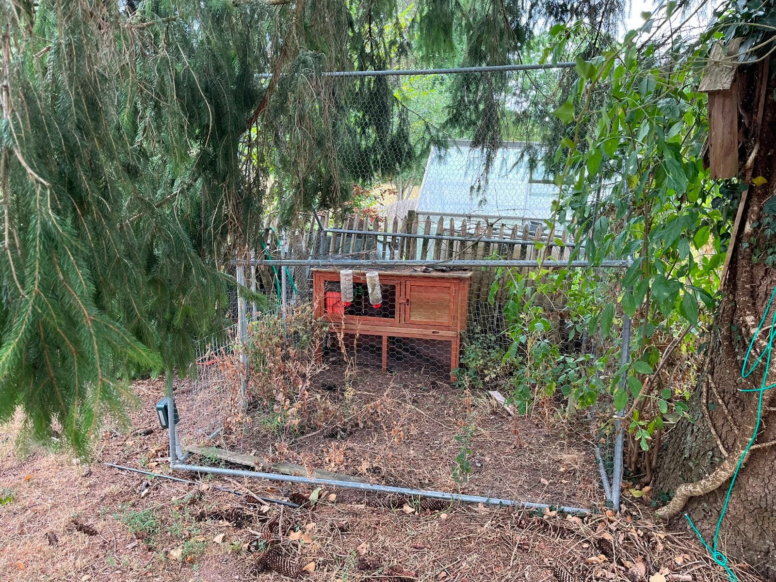 enclos lapin, Enlèvement, Utilisé