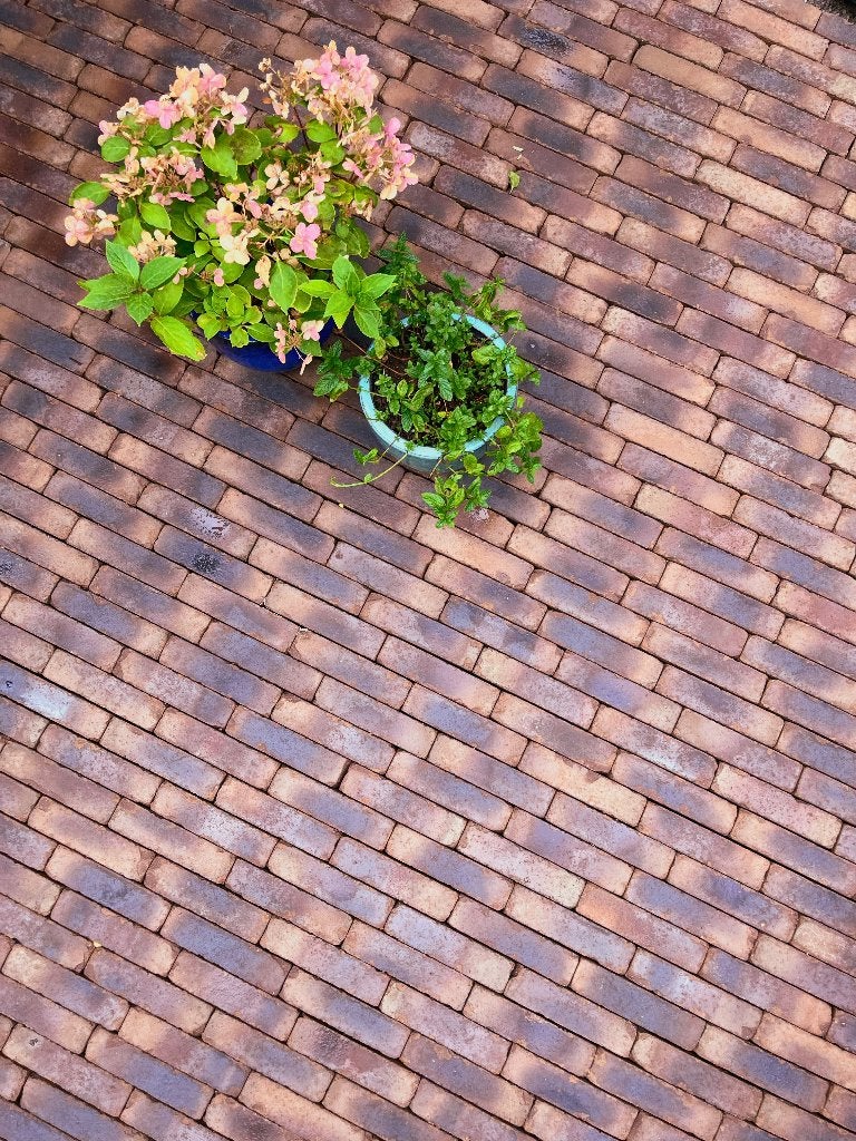Pavés en terre cuite 200x48x60mm pour +/- 8m², Jardin & Terrasse, Pavé & Dalles, Neuf, Enlèvement, 5 à 10 m², Autres matériaux