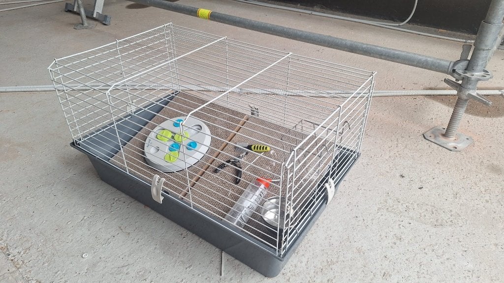 Konijnenkooi met veel handige spullen, Dieren en Toebehoren, Kooi, Gebruikt, Eekhoorn, 75 tot 110 cm