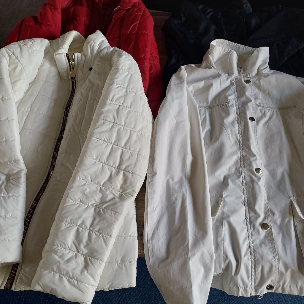 jassen large of maar 42, Kleding | Dames, Ophalen, Zo goed als nieuw, Maat 42/44 (L), Meerkleurig