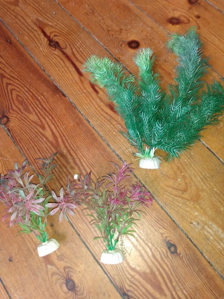 Mooie aquariumplanten (kunstmatig), Ophalen, Gebruikt, Plant(en), Steen of Hout