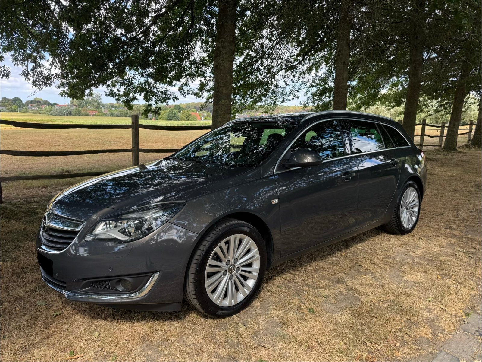 **Opel Insignia **TOPSTAAT**, Auto's, Euro 6, Bruin, Leder, Bruin