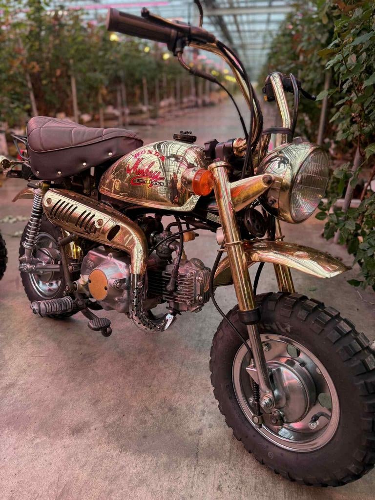 Honda monkey gold, Fietsen en Brommers, Brommers | Crossbrommers, Honda, Ophalen of Verzenden