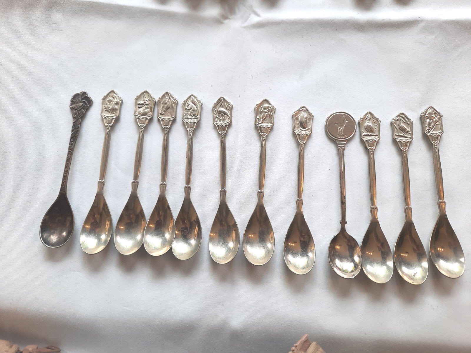 Souvenierlepeltjes, fauna en flora, Enlèvement ou Envoi