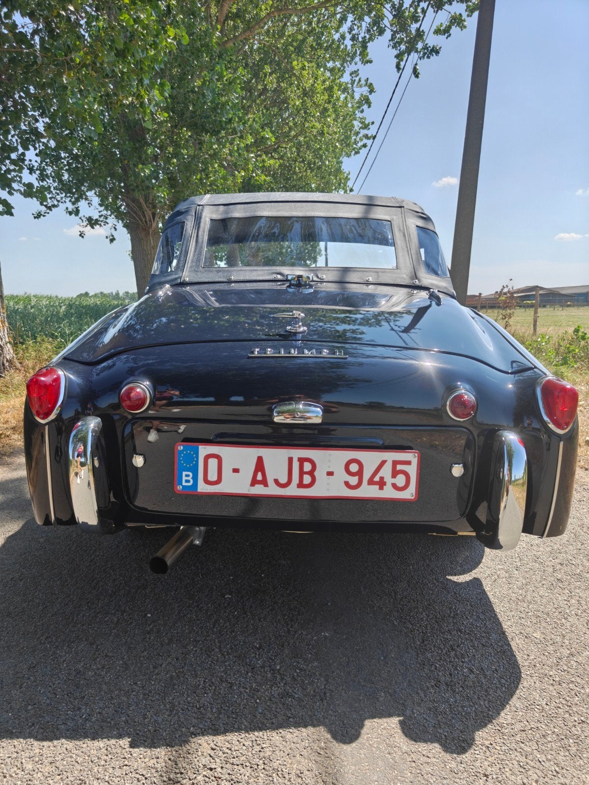 Triumph tr3, foto 5