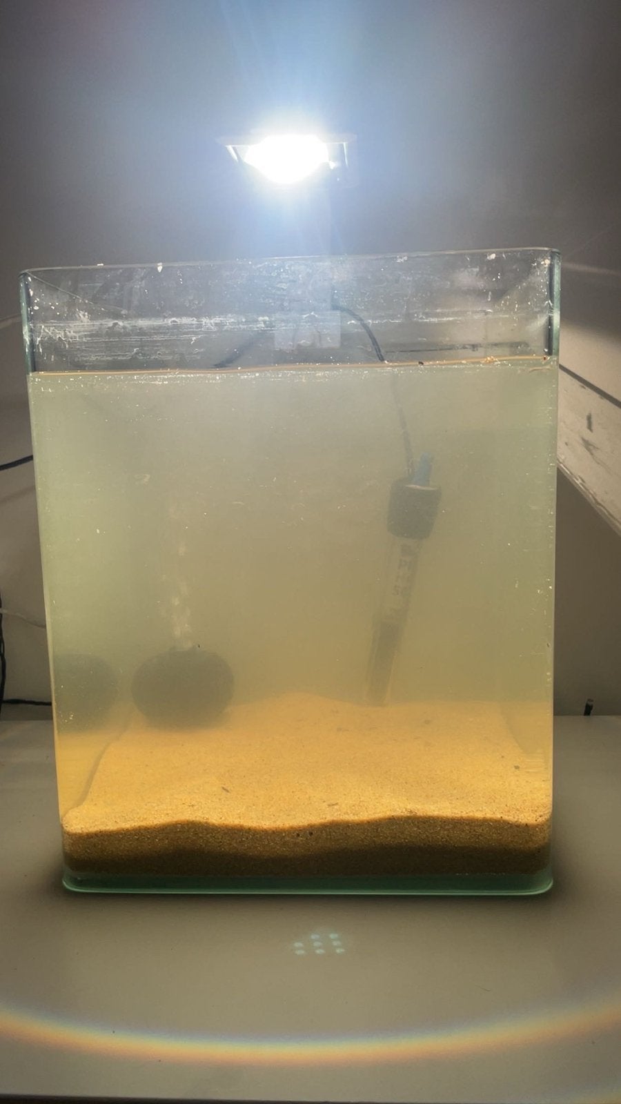 Aquarium, Animaux & Accessoires, Enlèvement ou Envoi, Accessoires inclus, Comme neuf, Aquarium vide